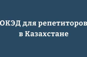 Репетитор проводит занятие с учеником в Казахстане