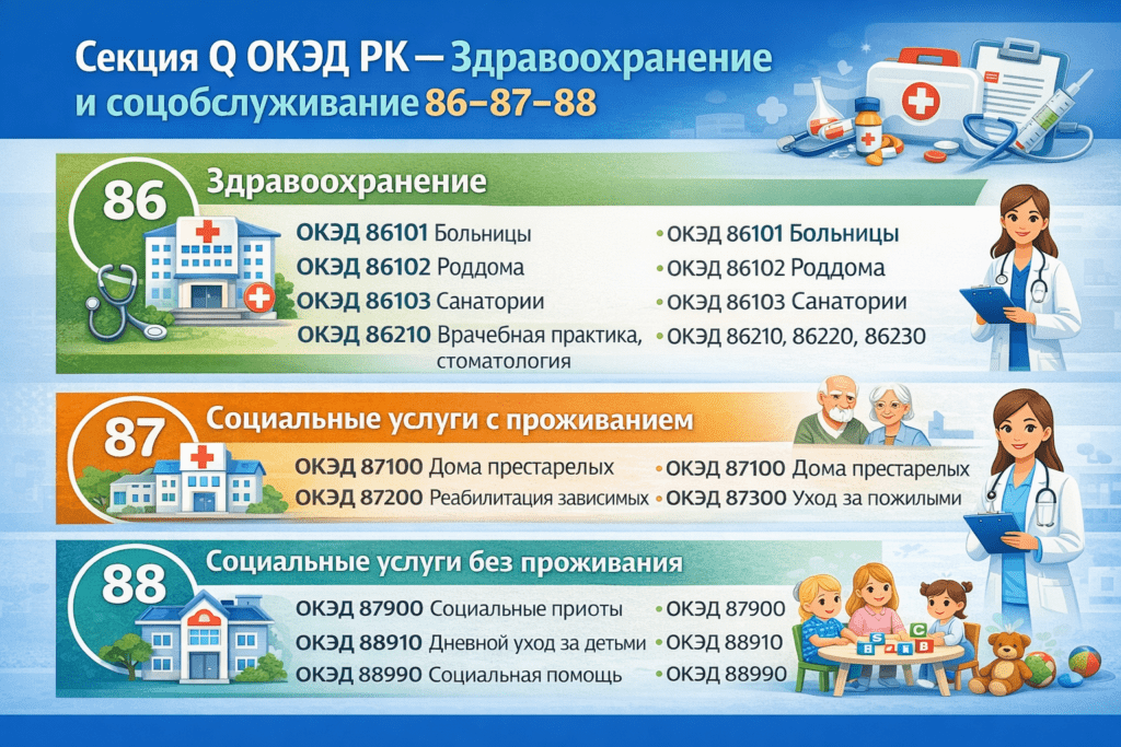 Секция Q ОКЭД РК: медицина и социальные услуги коды 86–88